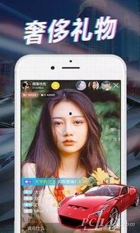 爆料整容直播视频下载网站,揭秘网红变脸背后的秘密