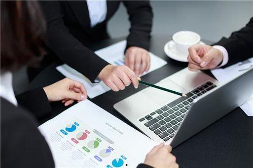 罗沙最新爆料公司招聘网,公司招聘网最新爆料，揭秘职场招聘内幕