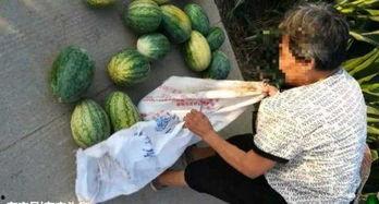 砀山吃瓜最新事件爆料,最新爆料揭示惊人内幕